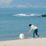 载45人的游船在红海海域沉没